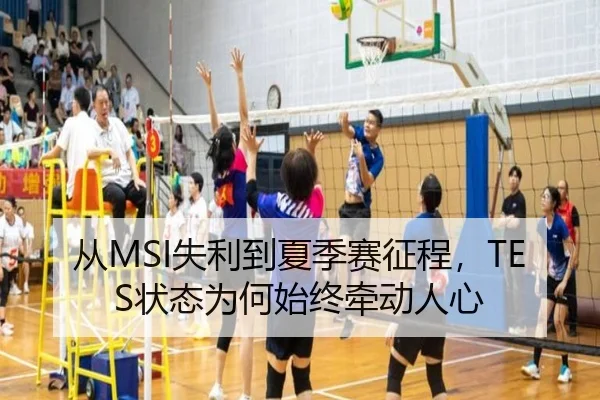 从MSI失利到夏季赛征程，TES状态为何始终牵动人心