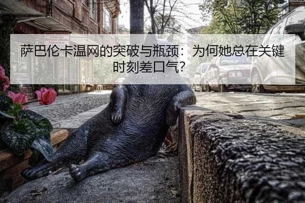 sa-ba-lun-ka-wen-wang-de-tu-po-yu-ping-jing-wei-he-ta-zong-zai-guan-jian-shi-ke-cha-kou-qi-2-517.jpg